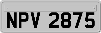 NPV2875