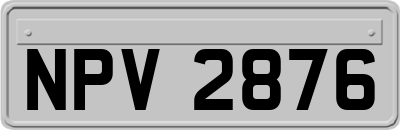 NPV2876