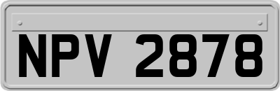NPV2878
