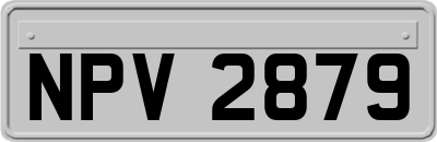 NPV2879