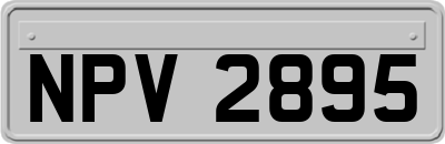 NPV2895