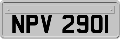 NPV2901