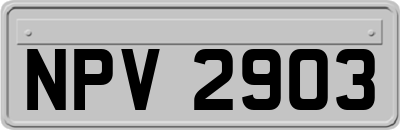 NPV2903