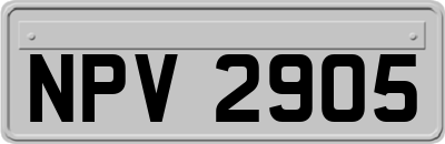 NPV2905