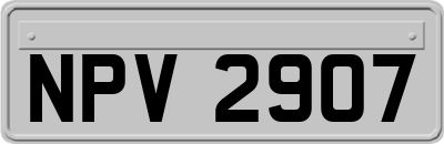 NPV2907