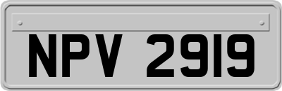 NPV2919