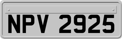NPV2925