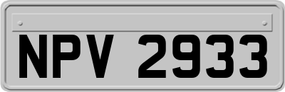 NPV2933