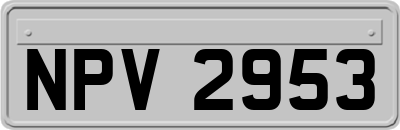 NPV2953