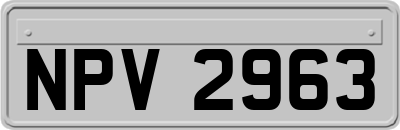 NPV2963