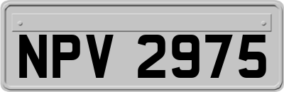 NPV2975