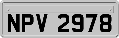NPV2978