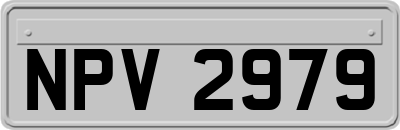 NPV2979