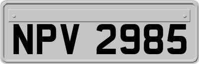 NPV2985