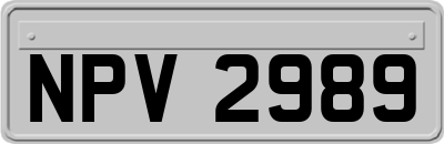 NPV2989