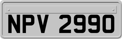 NPV2990