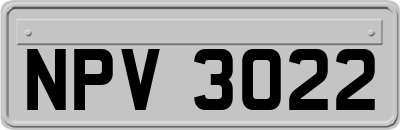 NPV3022