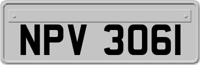 NPV3061