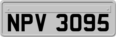 NPV3095