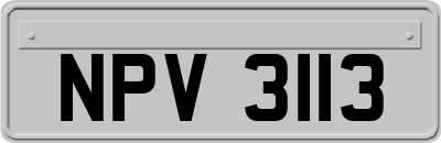 NPV3113