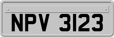 NPV3123