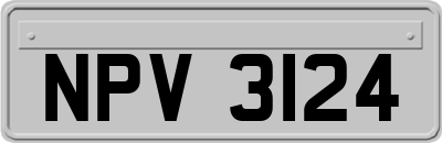 NPV3124