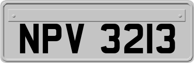 NPV3213
