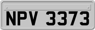 NPV3373