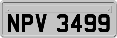 NPV3499