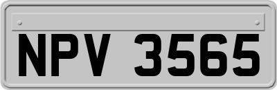 NPV3565