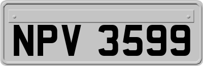 NPV3599