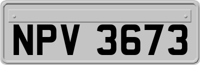 NPV3673