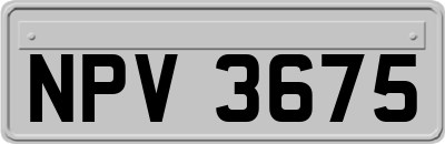 NPV3675
