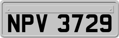 NPV3729