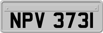 NPV3731