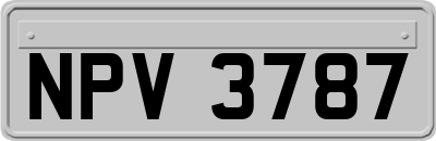 NPV3787