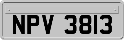 NPV3813