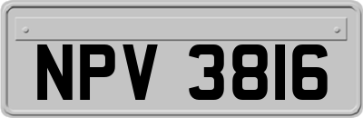 NPV3816