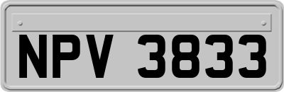 NPV3833