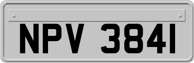 NPV3841