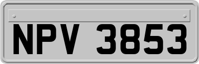 NPV3853