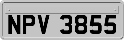 NPV3855