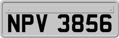NPV3856