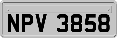 NPV3858