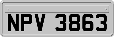 NPV3863
