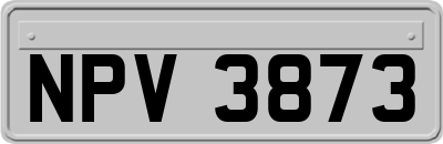 NPV3873