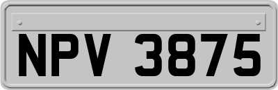 NPV3875