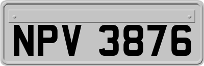 NPV3876