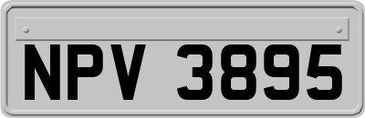 NPV3895