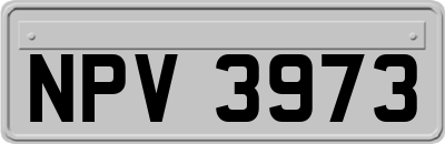 NPV3973
